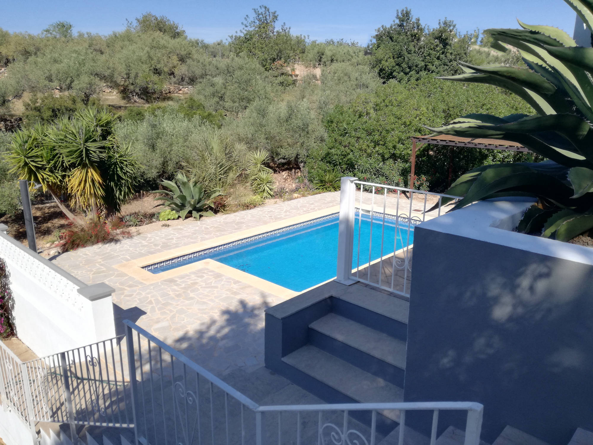 Piscine vue depuis la terrasse haute